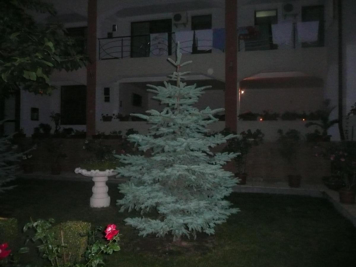 Complex Marinn كوستِنيست المظهر الخارجي الصورة